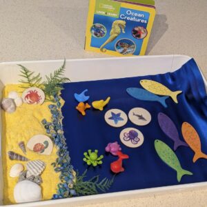 Imagine.Create.Play. - Ocean Creatures