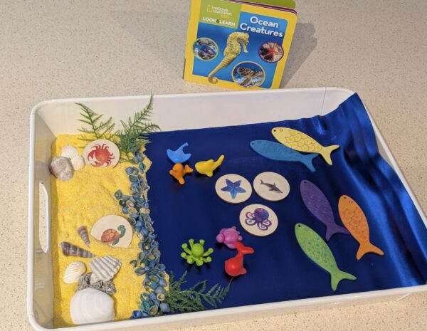 Imagine.Create.Play. - Ocean Creatures