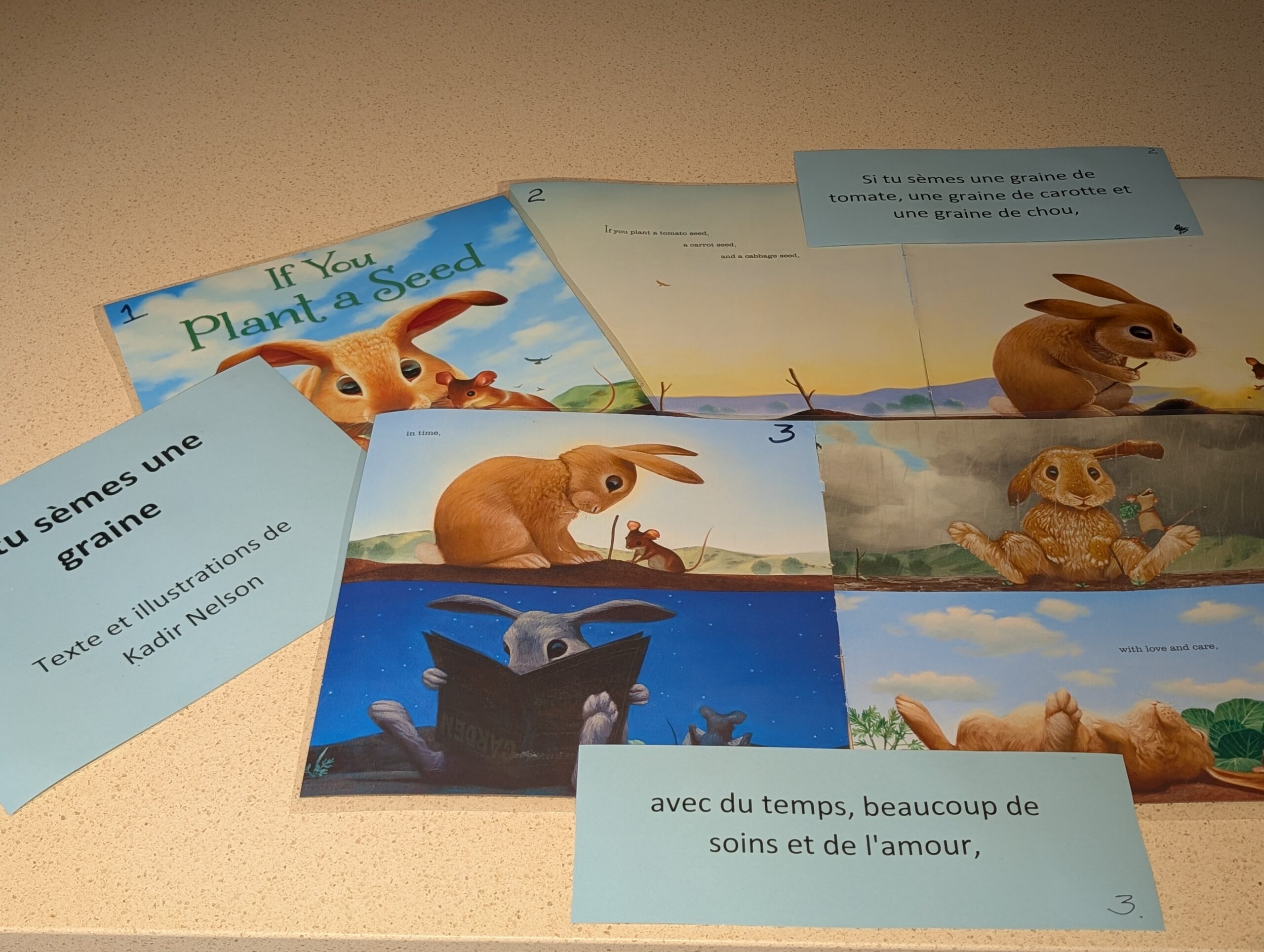 Used Story Walk Stories - Image 6
