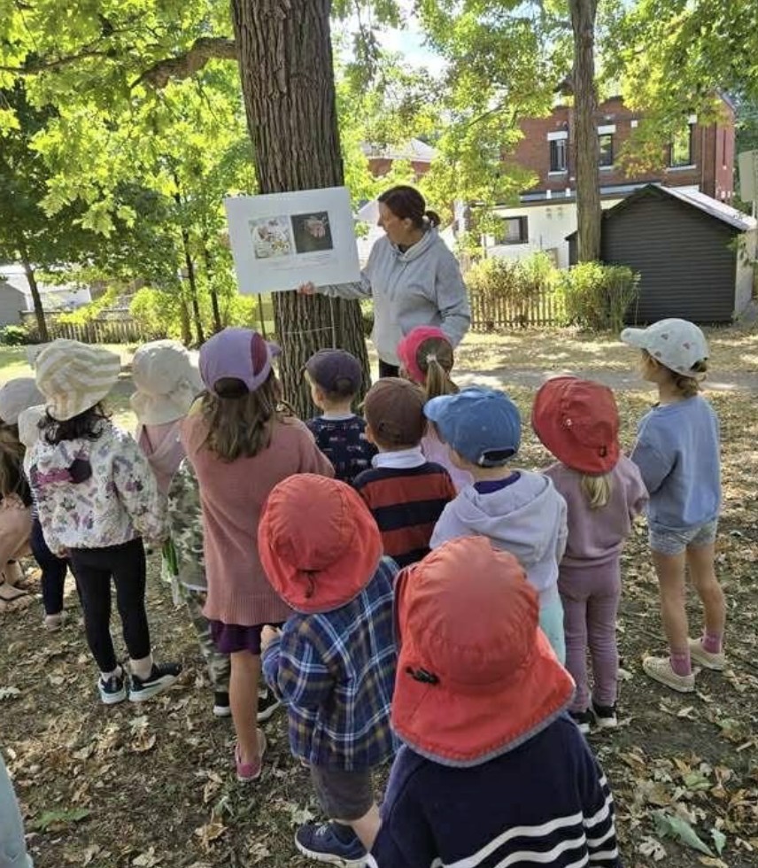 Used Story Walk Stories - Image 2