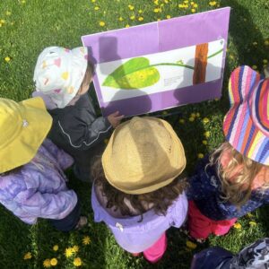 Used Story Walk Stories