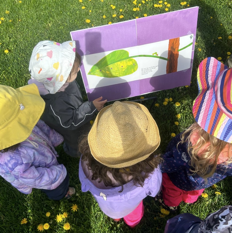 Used Story Walk Stories